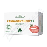 Cannaderm Cannadent HerpEX zdrav rty 28 tob. 